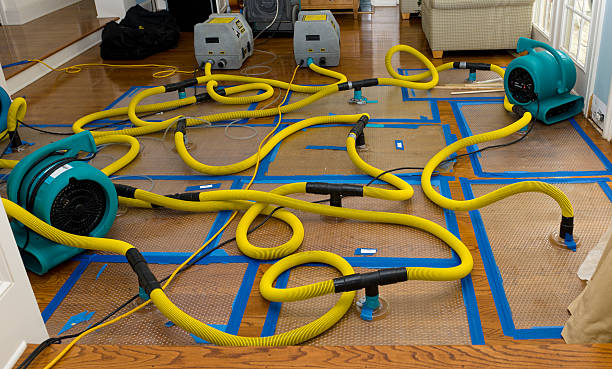 Professional Storm Water Damage Restoration technician working in Yerington, NV
